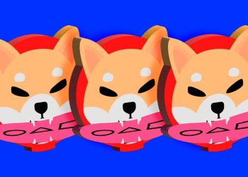 3 Tokens to be bullish this bull run: HedgeUp (HDUP), Shiba Inu (SHIB) & Dogecoin (DOGE)