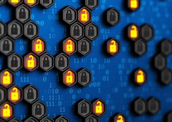 Distrust Wallet? A Crypto User’s Experience With Popular Storage Solution