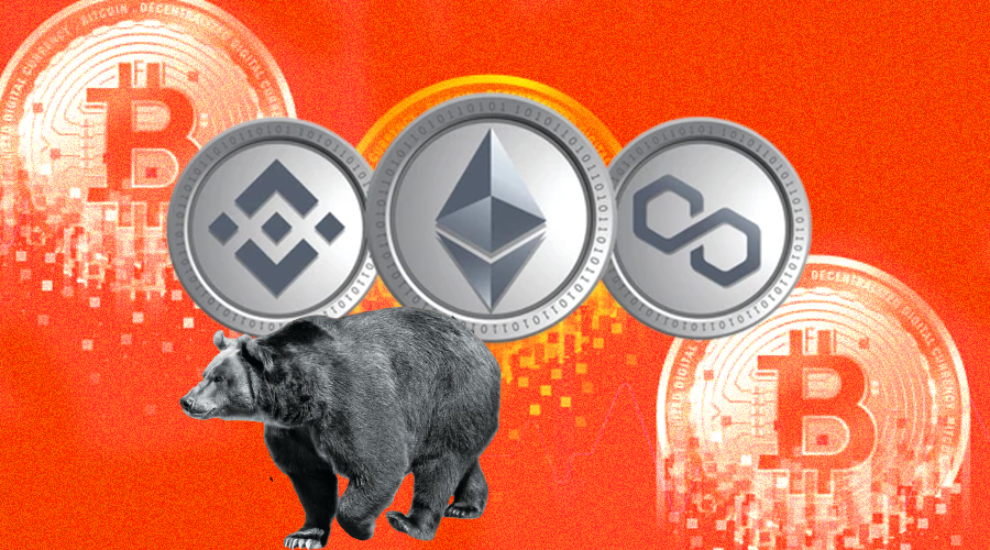 Crypto bear market institutional investors