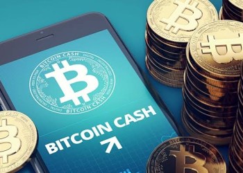 Bitcoin Cash (BCH)