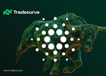 Secure Your Financial Future with These Top Cryptos,  Cardano, Hedera, Tradecurve