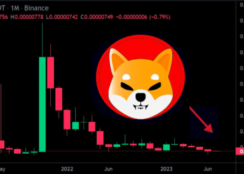 Shiba Inu (SHIB) Price Prediction for July: Time to Buy SHIB?
