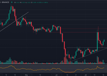 ADA Rebounds 10% in 48 Hours – Here’s Why It’s Bullish, While These Coins Are Also Bullish