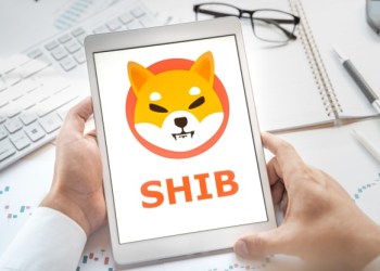 Shiba Inu’s BONE Rallies 40%, DigiToads On Last Stage of Presale