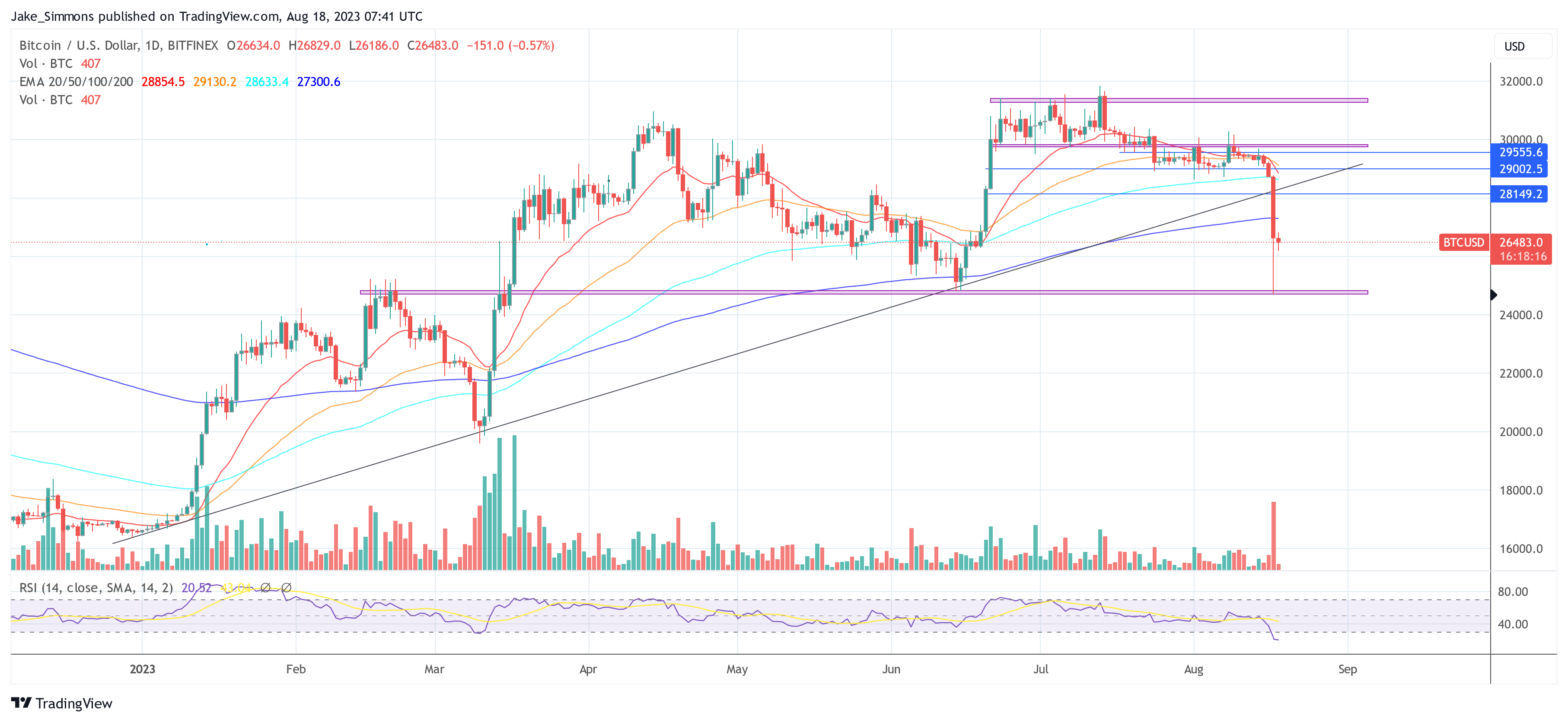 Bitcoin Price Crash: CoinShares Reveals The Real Reasons | Bitcoin Insider