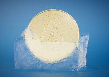 PayPal Puts Crypto Sales On Ice: UK Customers Left Waiting Until 2024