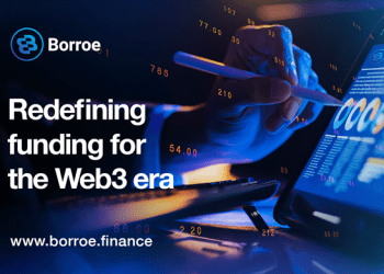 Smart Money Flows to Bitcoin Cash and Borroe Finance as Whales Remain Bullish