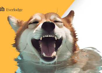 Shiba Inu (SHIB) and Floki Inu (FLOKI) Seek Potential While Everlodge (ELDG) Presale Boosts Earnings Expectations