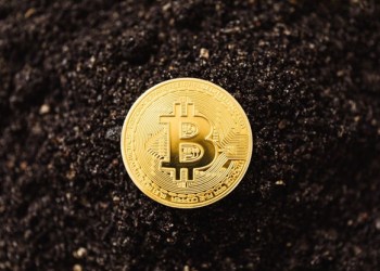 Bitcoin Cash price actions show Bitcoin Spark is launching into strength