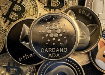 5 of the Best Altcoins to Invest in Right Now, Low-Cap Gems with Huge Promise