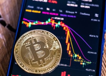 Bitcoin Whales Now Hold 59.2% of Circulating BTC, According to Data. Could DigiToads Be the Next Memecoin to 100X?