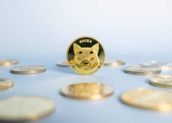 Memecoins propel 40% of US Investments – This Shiba Inu rival is becoming the talk of the town