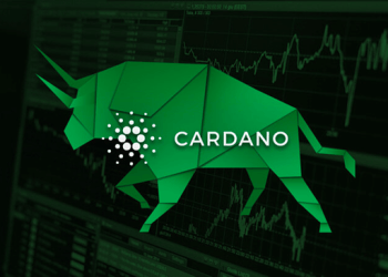 Cardano (ADA) and DigiToads (TOADS) Await Mega Rally: Whales Make Their Move!