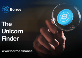 Cardano, Pepe, and Borroe: The 2023 Triple Threat Crypto Investment!