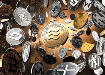 Top 7 Crypto Presales VCs Are Closely Watching QUBE, BORROE, Uwerx, Tradecurve, Mooky, Bitcoin Spark, and AiDoge