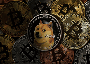 Shiba Inu and Bitcoin Spark: The New Age of Digital Currency