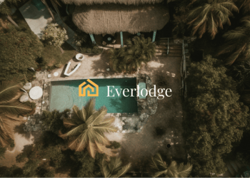 Pursue 10,000% returns with these 3 cryptocurrencies: Cosmos, Bitcoin Cash, Everlodge