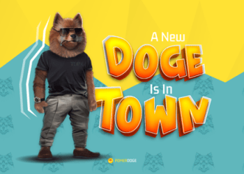 Has Elon Musk Turned His Attention to Pomerdoge, Over Dogecoin and Pepe?