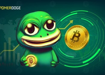 Unraveling the Hype Around These Top 3 Memecoins Pepe, Floki, Pomerdoge