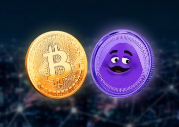 Is Bitcoin still a good choice for investing? – New crypto Promise Good Gains