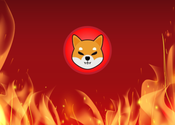 Shiba Inu burn portal