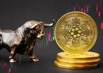 Cardano ADA bull