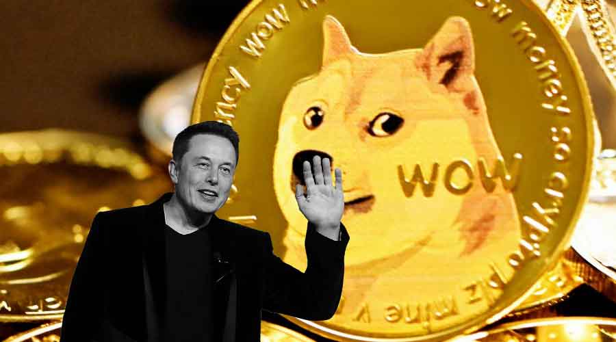 Elon Musk Dogecoin X