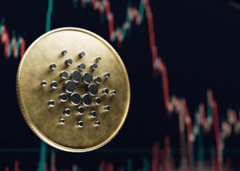 Expert Projects $BTC’s 2024 Ascend; Big Gains Eyed for $ADA, $XRP And $ROE
