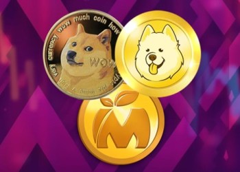 From DogeCoin (DOGE) Resilience to Samoyedcoin (SAMO) Journey: Is New Coin the Investment of the Year?