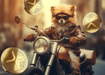 Floki Inu (FLOKI) and Ripple (XRP) Show Slight Recovery: Why Do Investors Love Pomerdoge (POMD)