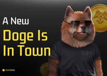 Shiba Inu Gets Important Shibarium Updates, BNB Decline Continues As Pomerdoge Shines in Bear Market