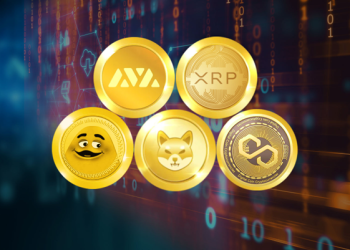 Best Crypto to Buy Now with High Potential – Top 5 Crypto to Invest in Fall 2023