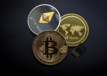 Shibarium, XRP, and Bitcoin Spark are rumored to be in the Spotlight of Wall Street Investors