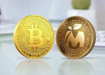 Bitcoin Cash’s (BCH) Big Jump is Near? $1,000 in Sight? – New Presale Going Fast