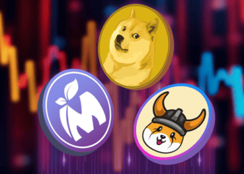 Dogecoin (DOGE) and Floki Inu (FLOKI) in Trouble? What’s Next? Which Unknown Coin is Set to Stun?
