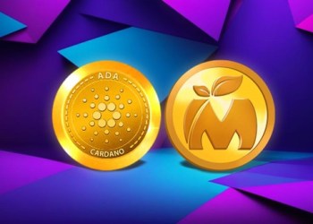 Cardano (ADA) Has a Big Surprise for Holders – Who Can Top New Coin?