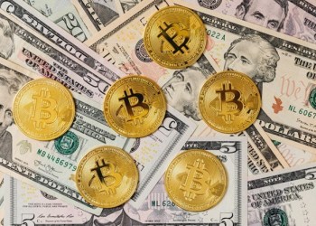 Bitcoin Spark vs. Shiba Inu: Where Smart Investors are Putting Their Money
