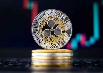 Ripple president SEC lawsuit