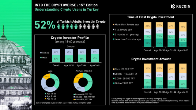 Crypto profile for investors in Turkey