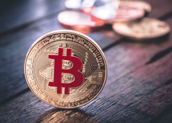 Imagine Buying Bitcoin at 20 cents! Gold Coin on the rise