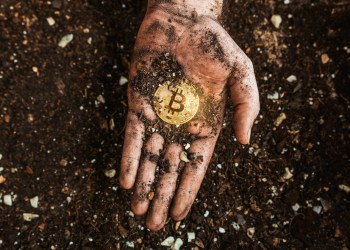 Bitcoin Paxos PayPal