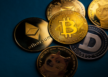 Meme Coins Are Terrible For Those New To Crypto, XRP, and Bitcoin Spark Prefered Options