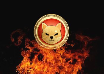 Shiba Inu SHIB Burns Shibarium