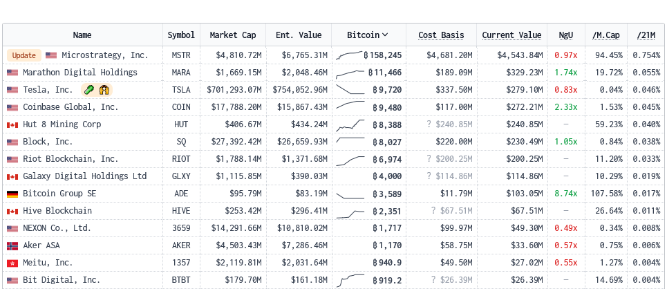 Tesla detiene Bitcoin| Fonte: Bitcoin Treasury