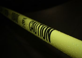 Shiba Inu SHIB SHIBUSDT Shibarium