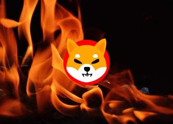 Shiba Inu SHIB burn