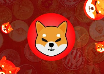 Shiba Inu SHIB lead dev