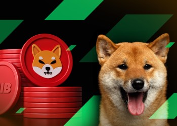 Shiba Inu investor $5 billion