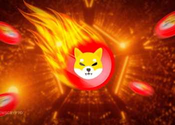 Shiba Inu Shibarium SHIB Burn