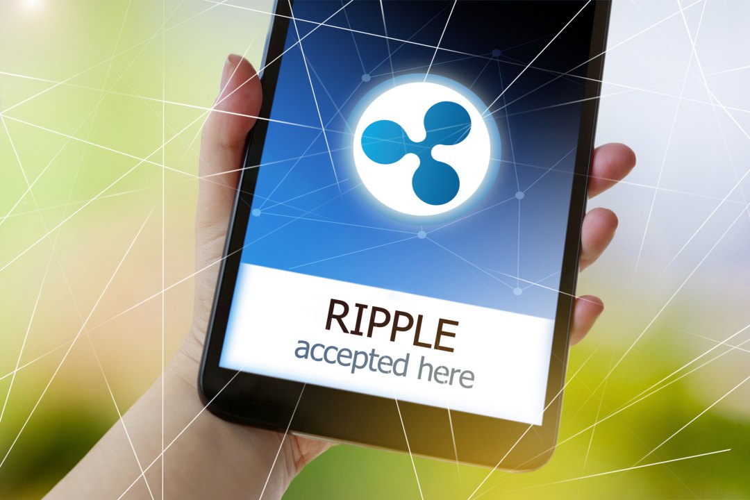 Roblox Denies XRP Integration Amid False Claims $BTC $ETH $XRP Roblox'  disclosure comes after several crypto news outlets reported…